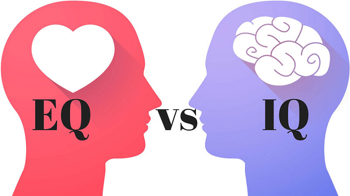 IQ hay EQ quan trọng hơn?