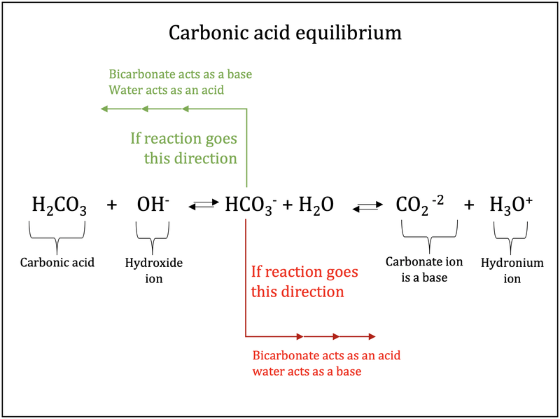 H2CO3 là acid hay base?
