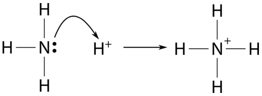 NH3 có phải là acid Lewis không?