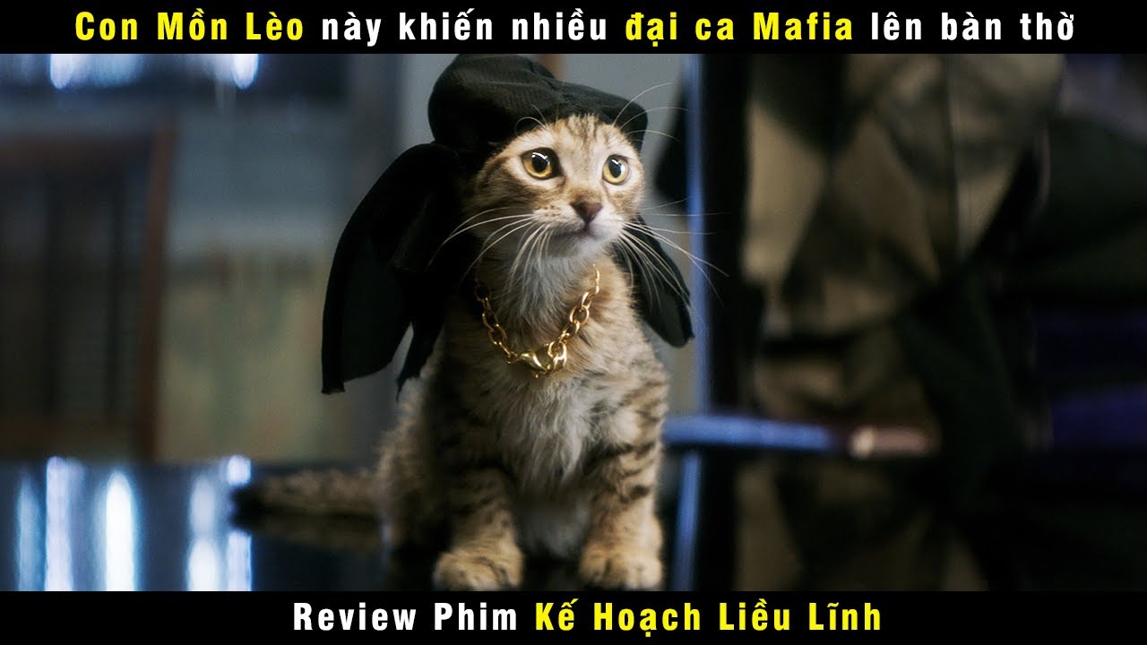 Kế Hoạch Liều Lĩnh: Định Nghĩa, Ví Dụ Và Cách Thực Hiện