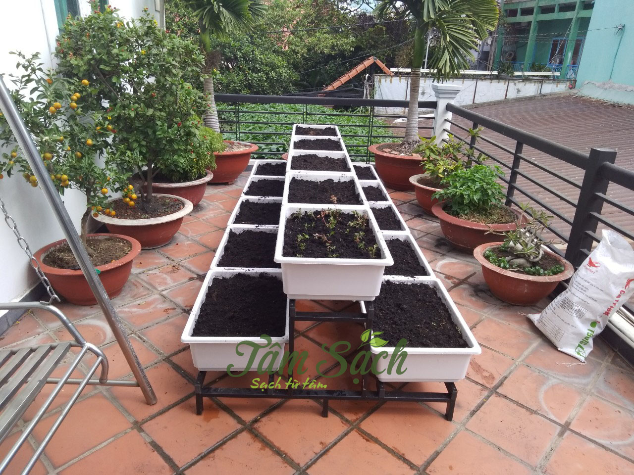 Kệ Trồng Rau Sân Thượng: Giải Pháp Tối Ưu Cho Vườn Rau Xanh Mát Tại Nhà