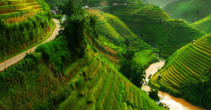 Cuộc Gặp Gỡ Ngắn Gọn Nhất Gallery 2