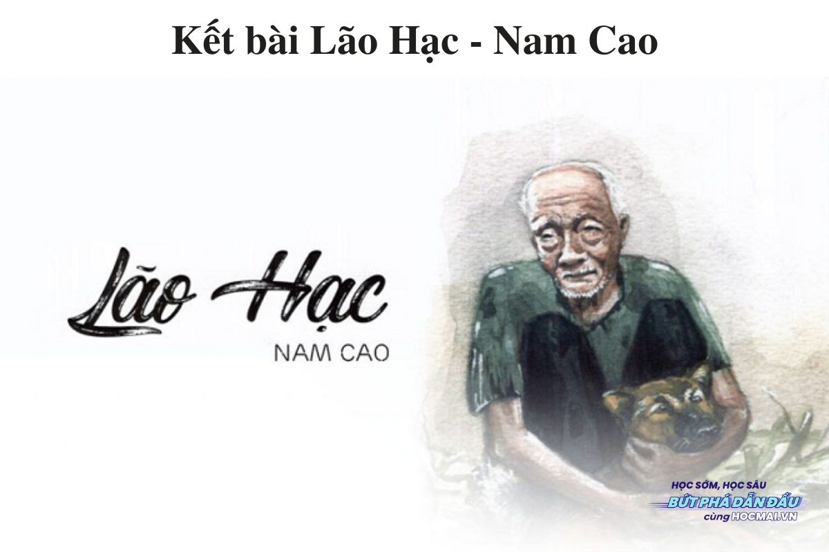 Kết Bài Lão Hạc: Phân Tích Và Ý Nghĩa