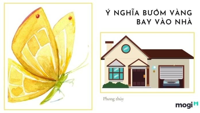 Bướm Vàng Vào Nhà: Điềm Báo Hay Ngẫu Nhiên? Gallery 2