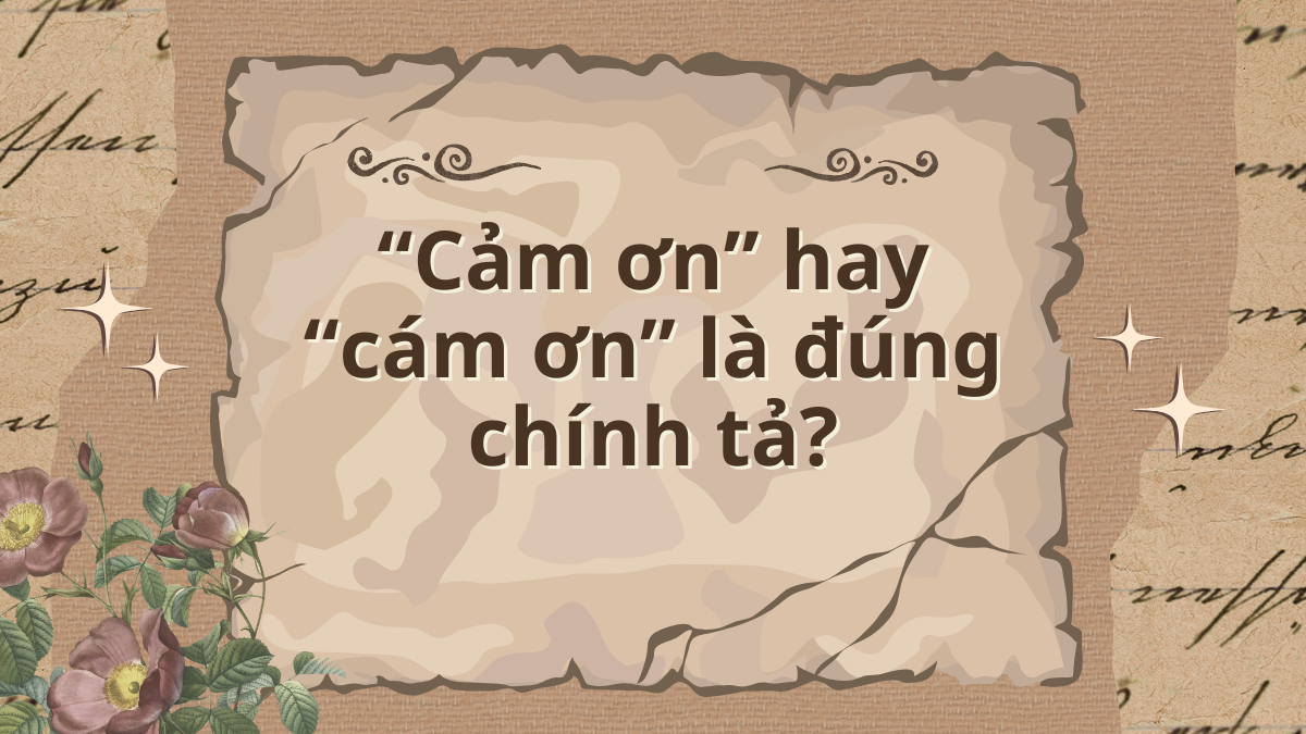 Cảm ơn hay cám ơn là đúng? Gallery 2