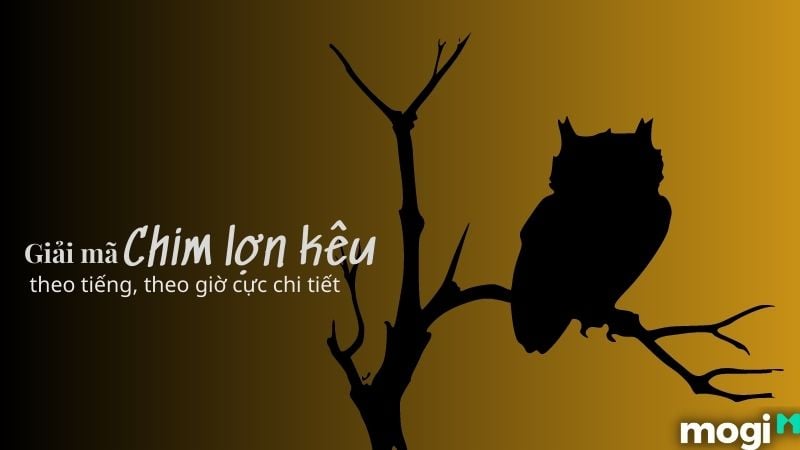 Chim Lợn Kêu Theo Giờ: Điềm Báo Hay Chỉ Là Âm Thanh Tự Nhiên? Gallery 2
