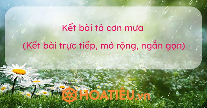 Cùng một cơn mưa Gallery 2