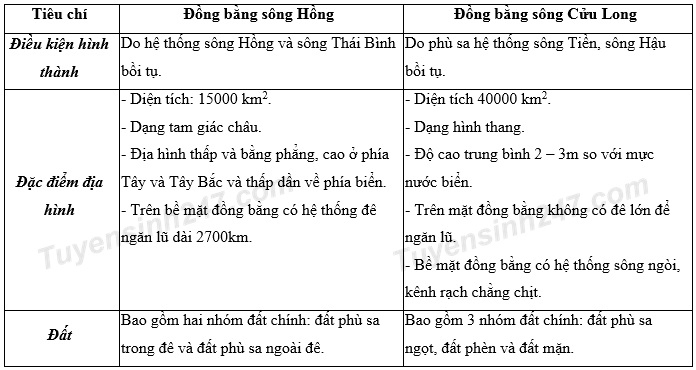Đặc điểm khác biệt nhất Đồng bằng sông Cửu Long và Đồng bằng sông Hồng Gallery 2