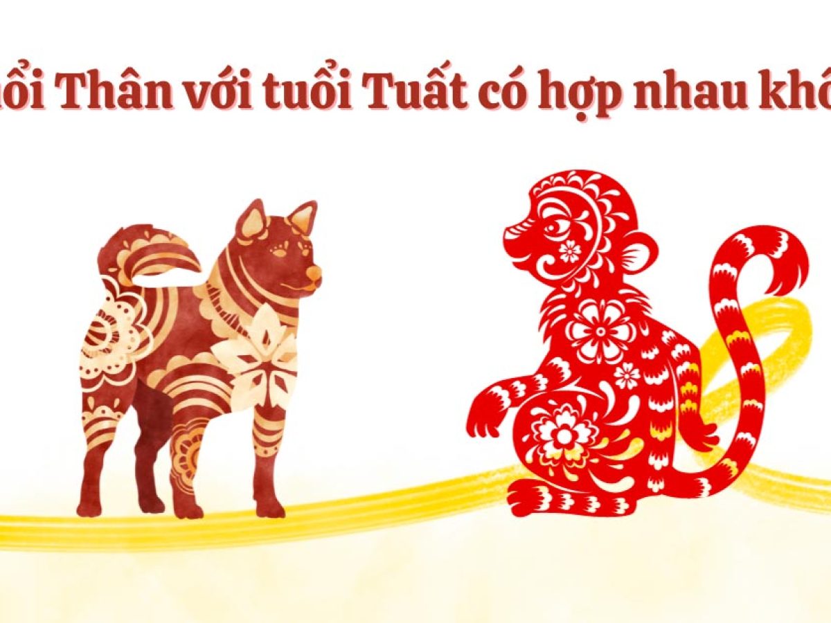 Khỉ và Chó Có Hợp Nhau Không? Gallery 2