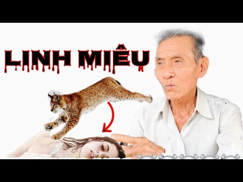 Linh Miêu Nhảy Qua Xác Người Chết Gallery 2