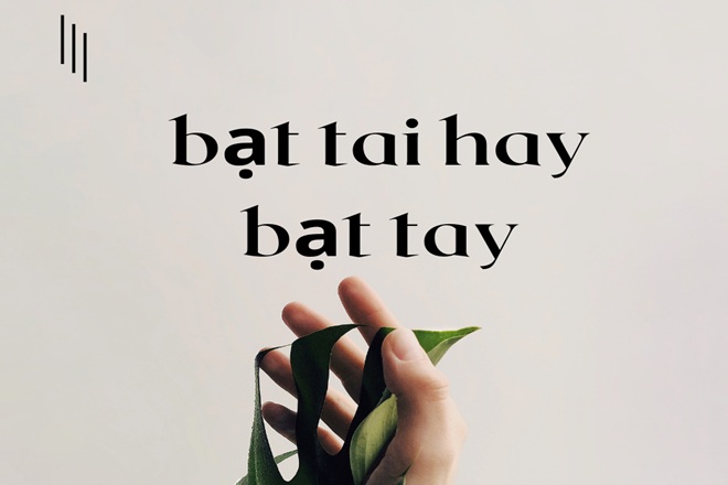 Bạt Tai Hay Bạt Tay? Gallery 2