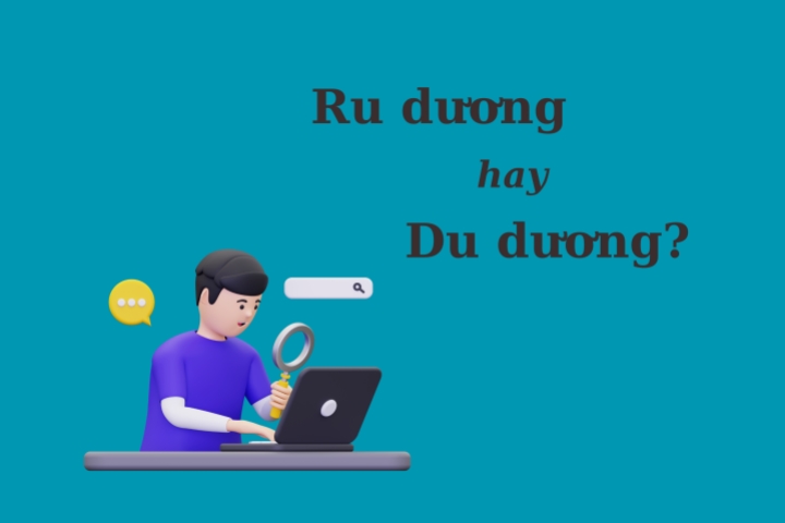 Ru rương hay du dương Gallery 2