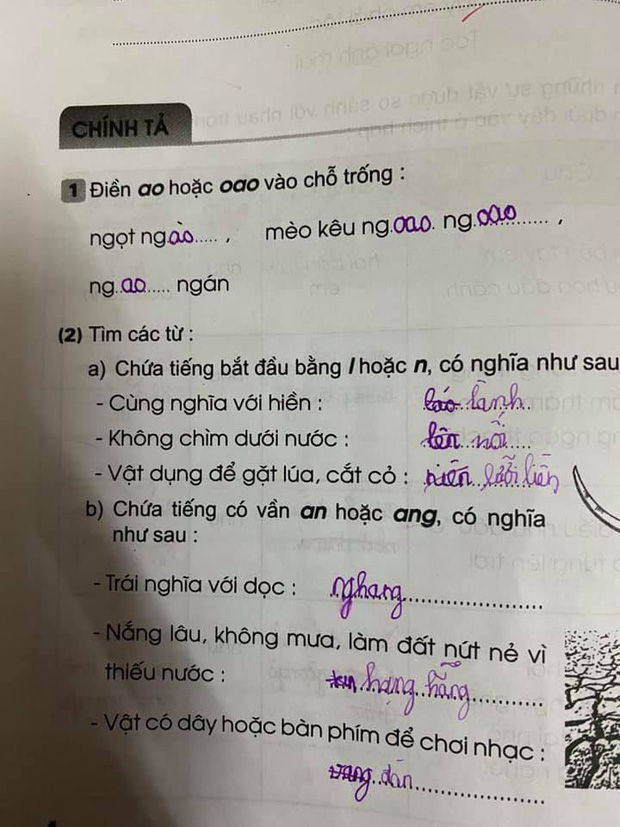 Thành Ngữ Bắt Đầu Bằng Chữ L: Từ A đến Z Gallery 2