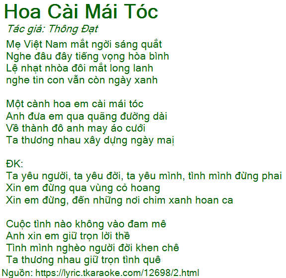 Hoa Cài Mái Tóc Lời Bài Hát Gallery 1