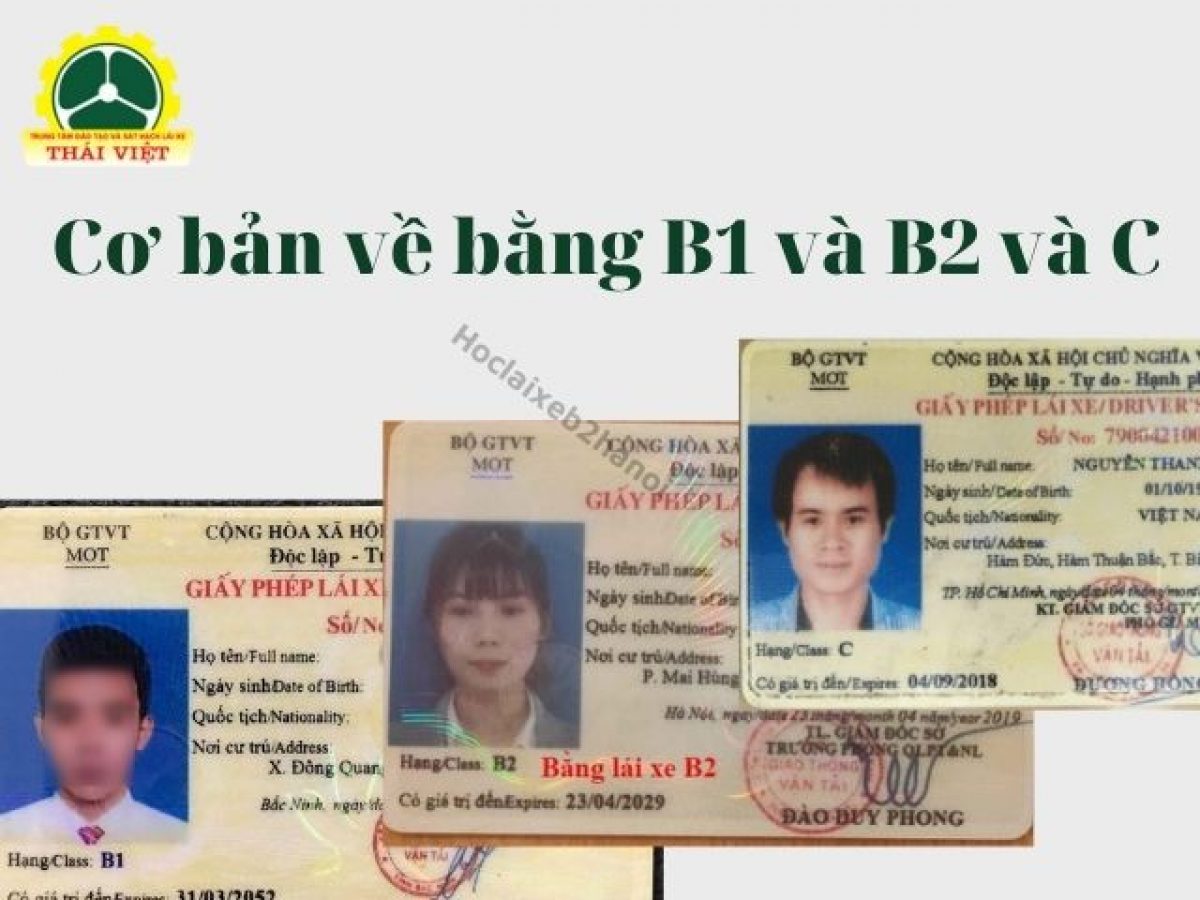 So sánh B1 và B2: Khác biệt và lựa chọn phù hợp Gallery 1