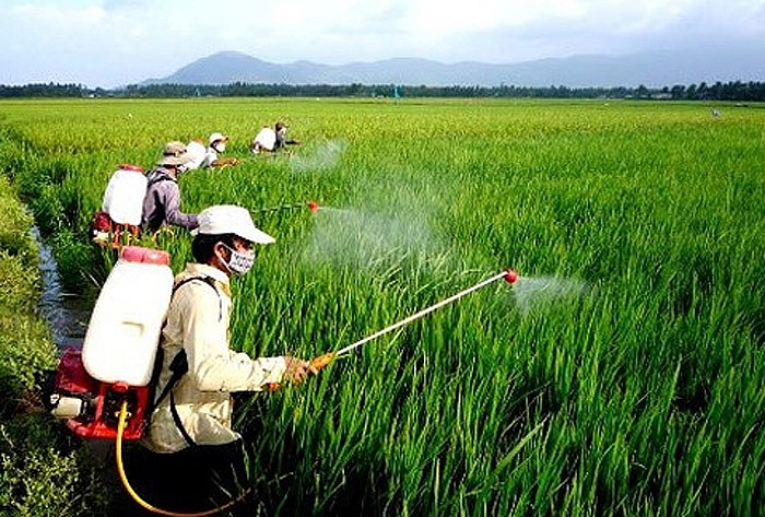 Khắc phục ô nhiễm hóa chất bảo vệ thực vật gồm các biện pháp nào?