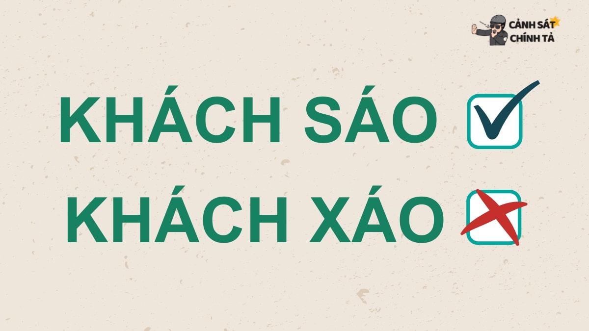 Khách sạn giá rẻ ở Đà Nẵng: Review & Đặt phòng tiết kiệm