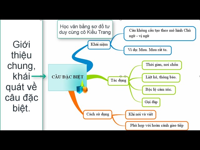 Câu Đặc Biệt Là Gì?