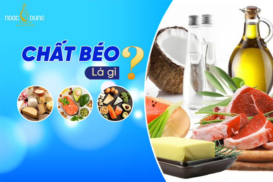 Chất béo là gì?