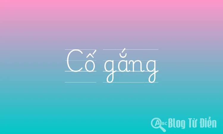 Cố Gắng Là Gì? Gallery 1