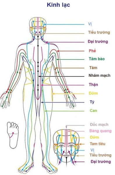 Đường Đi Kinh Đởm: Khám Phá Hành Trình Thử Thách Bản Thân Gallery 1