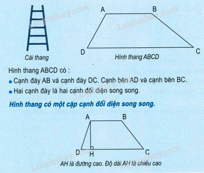 Bài tập về hình thang lớp 5 Gallery 1