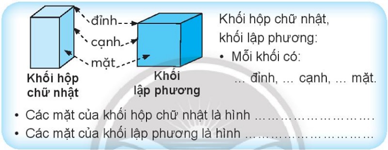 Lập Phương Là Gì? Gallery 1