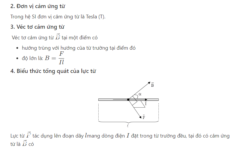 Lực Từ Là Gì Lớp 11? Gallery 1