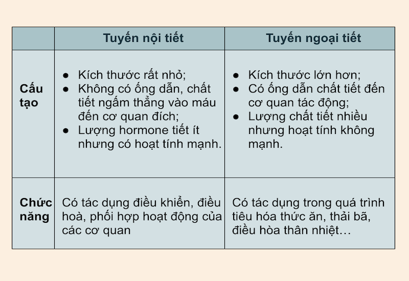 Ngoại tuyến là gì? Gallery 1