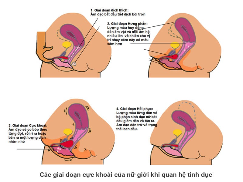 Quan hệ tình dục là gì? Gallery 1