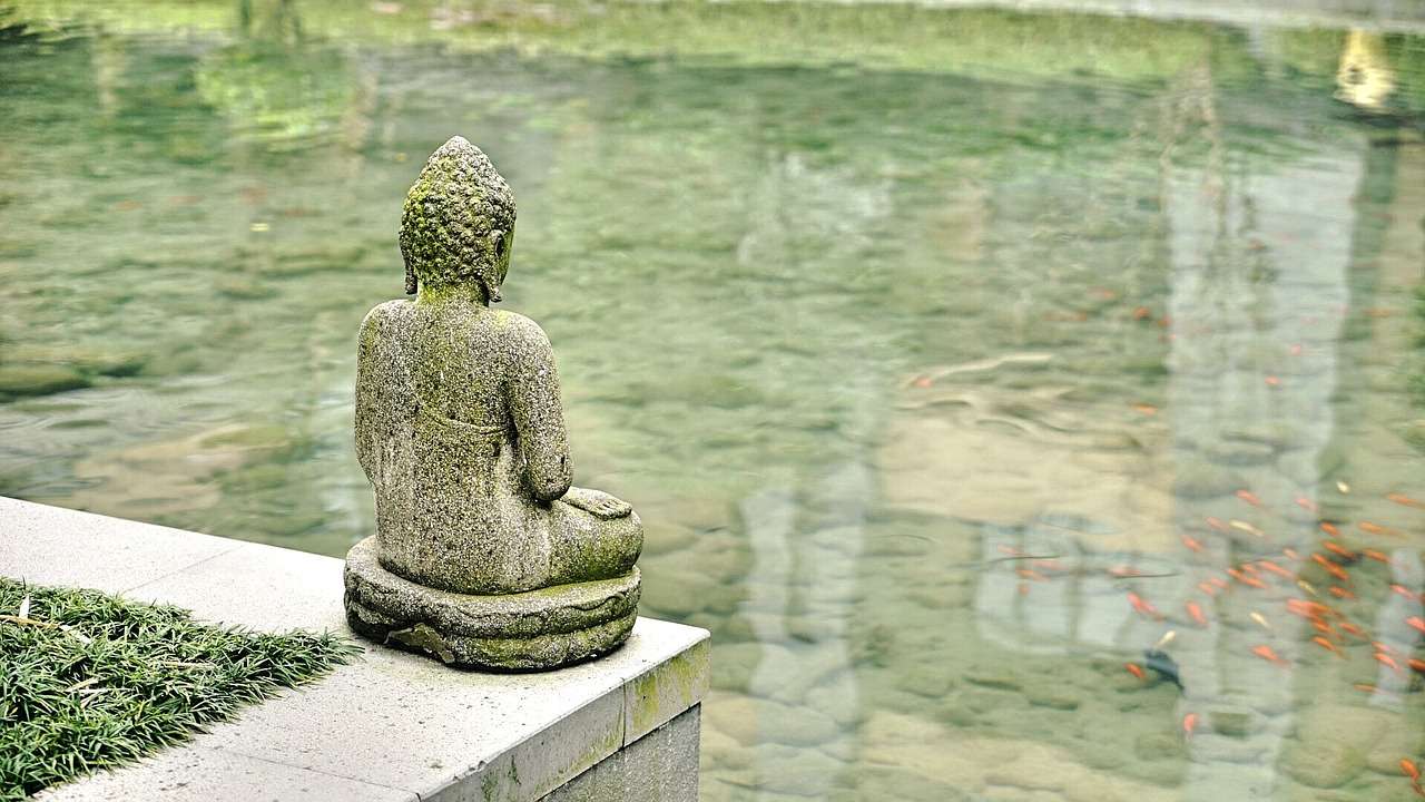 Số Phận Là Gì? Gallery 1