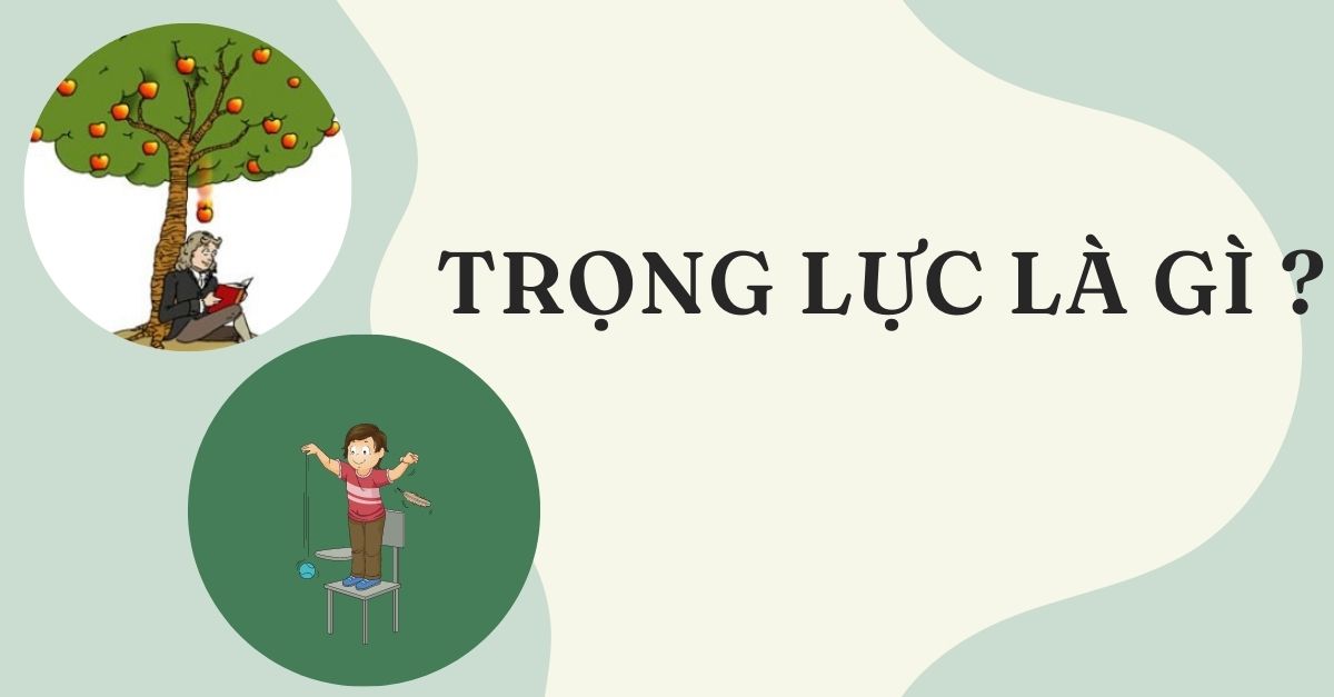 Lực mà Trái Đất tác dụng lên vật Gallery 1