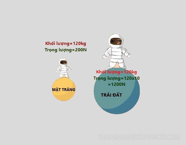Trọng lượng của một vật là gì? Gallery 1
