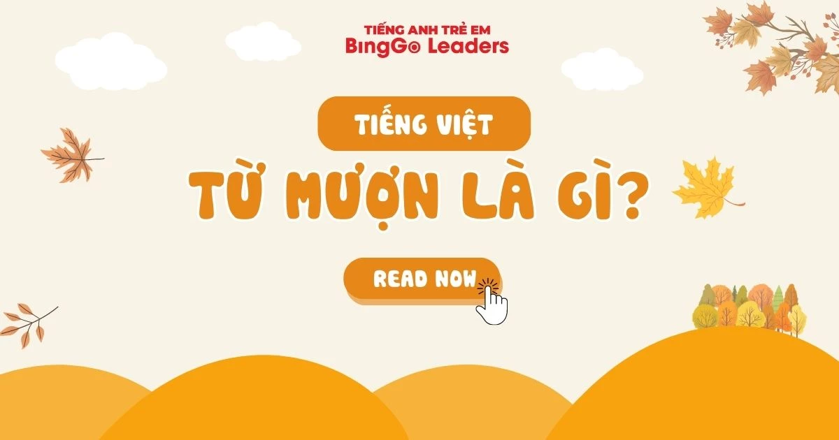 Thực hành tiếng Việt từ mượn: Hướng dẫn chi tiết và bài tập Gallery 1