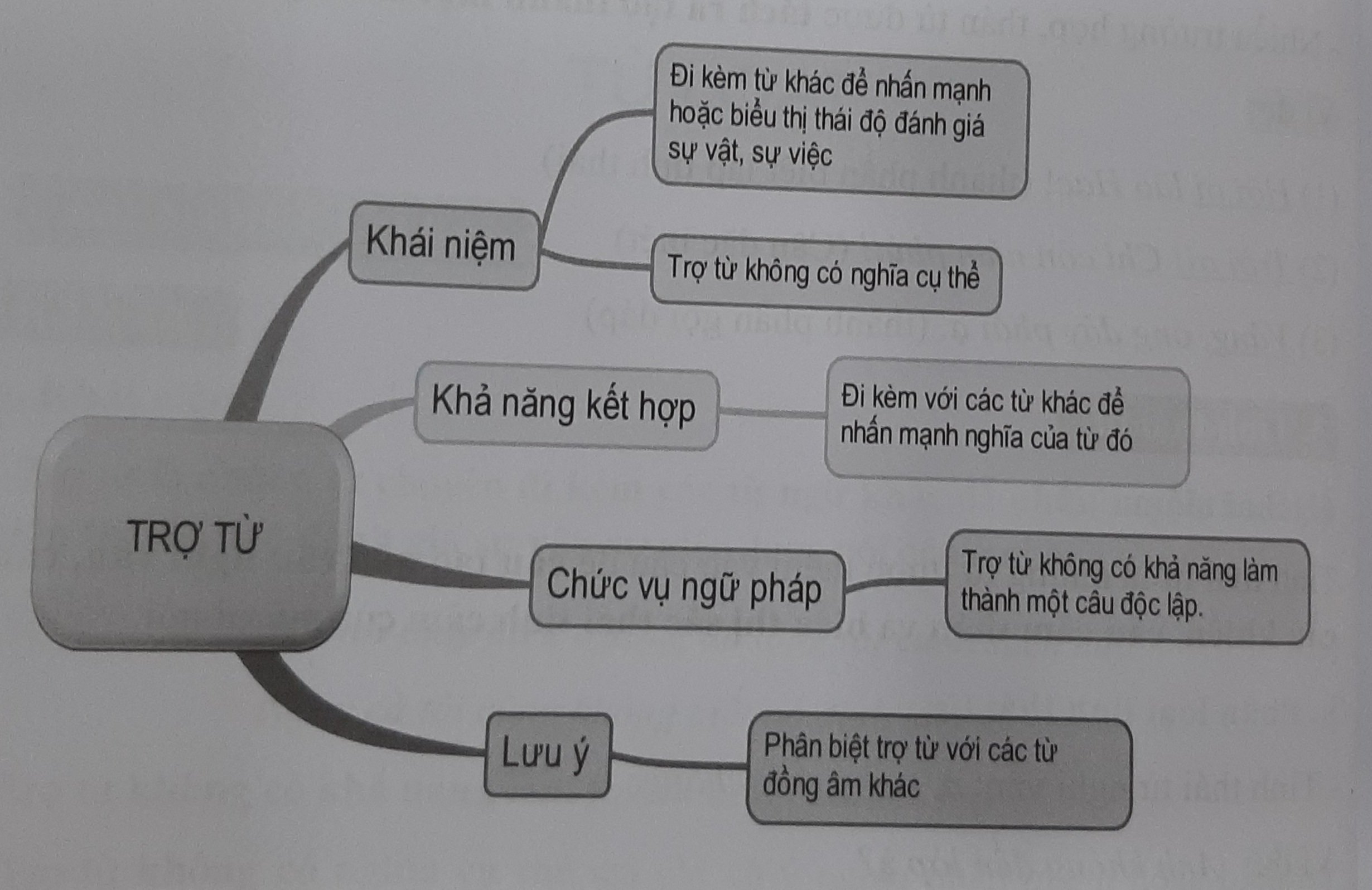 Soạn Văn 8: Trợ Từ, Thán Từ - Tổng hợp kiến thức và bài tập Gallery 1