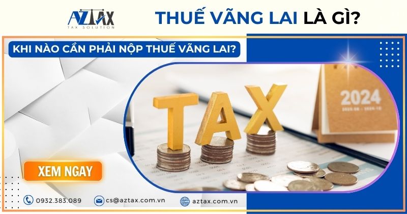 Vãng Lai Là Gì? Định Nghĩa, Giải Thích Từ Vãng Lai Gallery 1