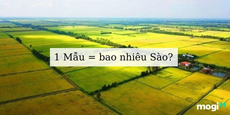1 Mẫu Là Bao Nhiêu M2? Gallery 1