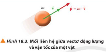 Vectơ Động Lượng Là Vectơ Gallery 1