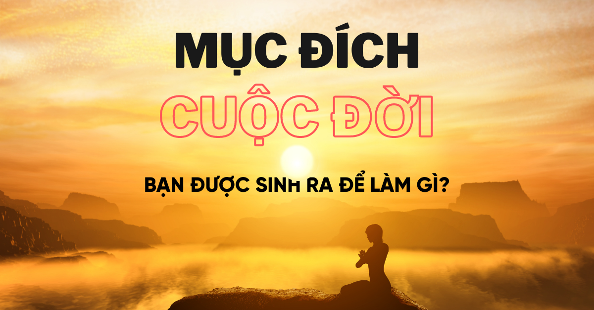 Ý nghĩa cuộc sống con người là gì? Gallery 1
