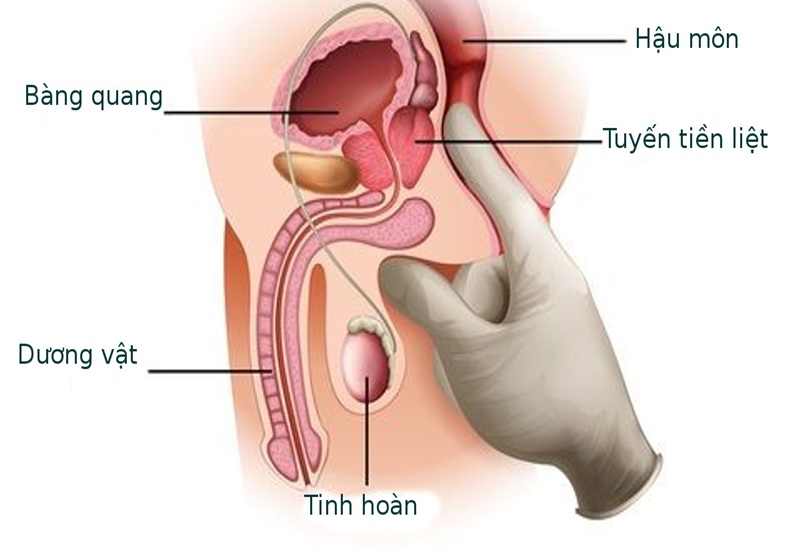 Cách Vuốt Ve Cậu Nhỏ Gallery 1