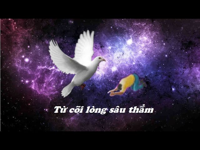 Cõi lòng sâu thẳm là gì? Gallery 1