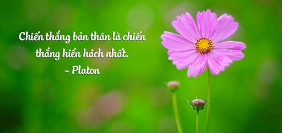 Tìm Kiếm Ý Nghĩa Cuộc Sống: Hành Trình Khám Phá Bản Thân Gallery 1