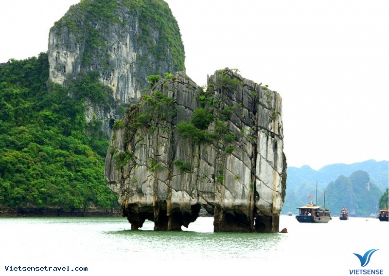 Mẹo Du Hành Hạ Long Tiện Lợi Gallery 2