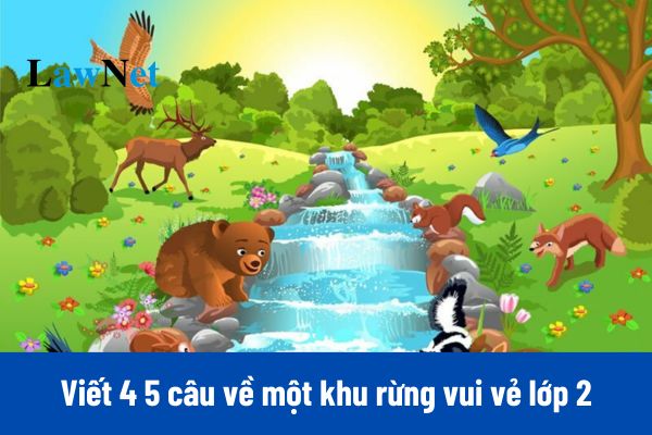 Khu Rừng Vui Vẻ: Thế Giới Kỳ Diệu Đầy Màu Sắc Gallery 1