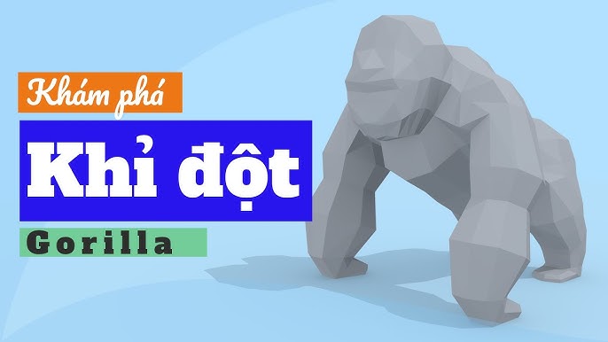 Hình Con Khỉ Đột Gallery 1