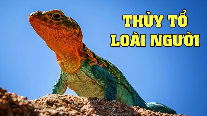 Tiên Sinh Thằn Lằn: Sự Thật Về Loài Bò Sát Bí Ẩn Gallery 1