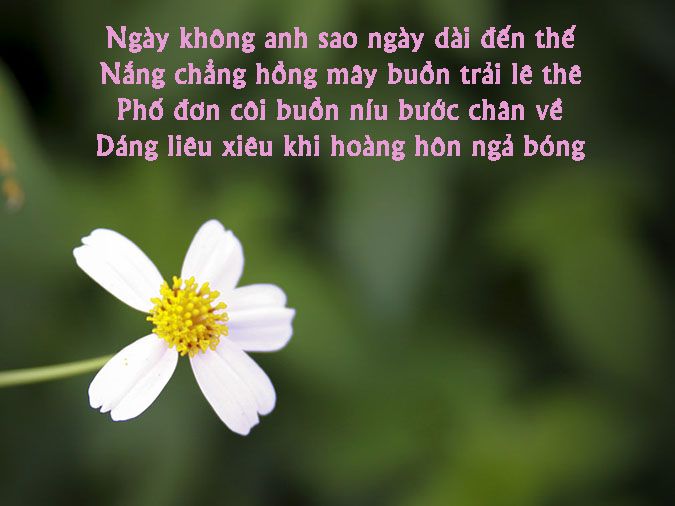 Thơ Tình Buồn: Những Dòng Thơ Da Diết Về Tình Yêu Đau Khổ Gallery 1