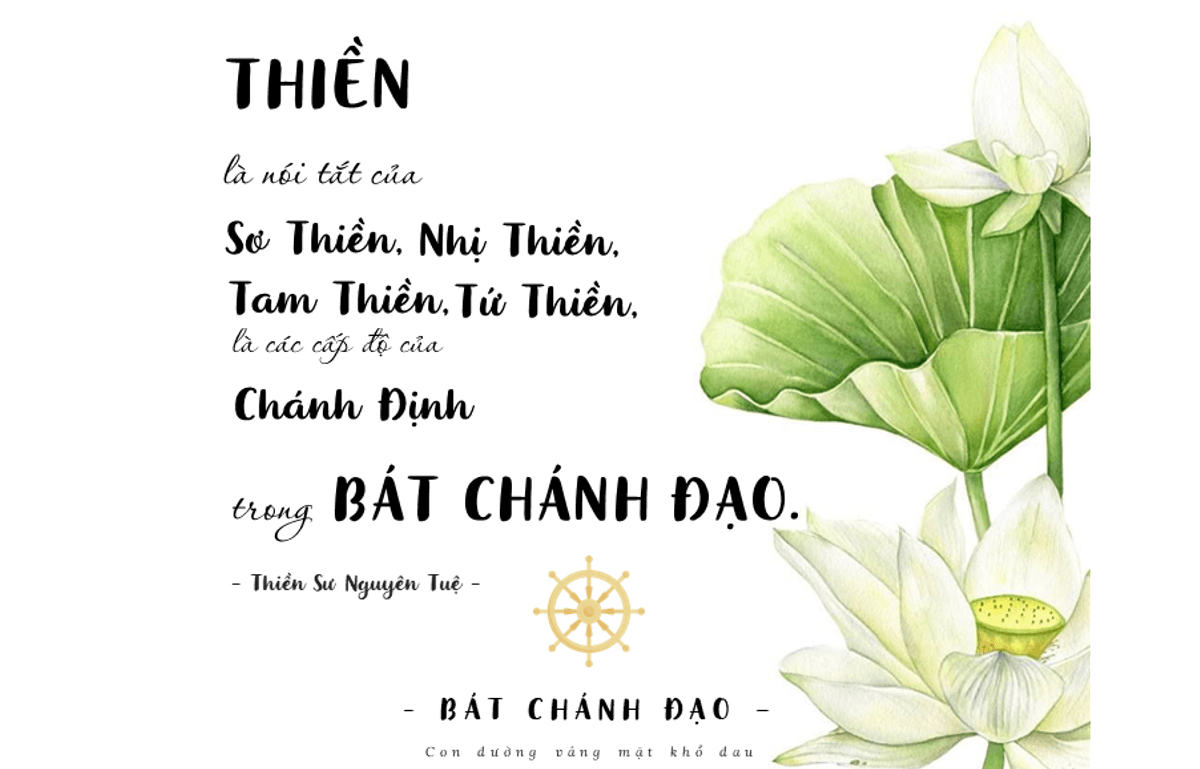 Tâm Can Tôi Thực Sự Muốn Gì? Gallery 1