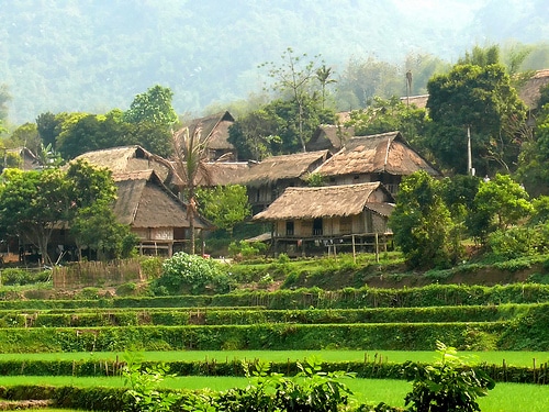 Mộc Châu Hòa Bình Có Gì Chơi? Gallery 1