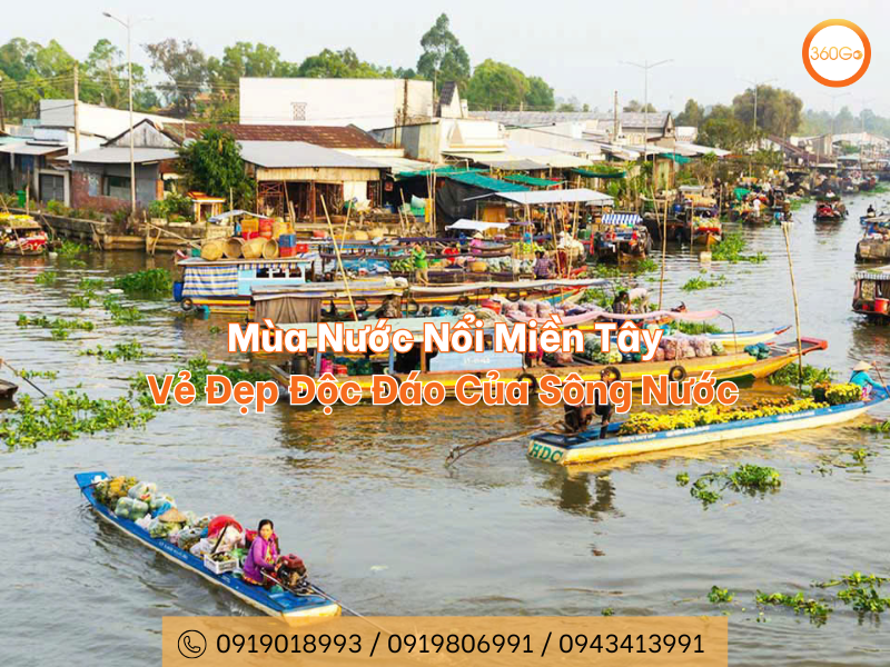 Miền Tây mùa nước nổi: Kinh nghiệm du lịch và những điều thú vị Gallery 1